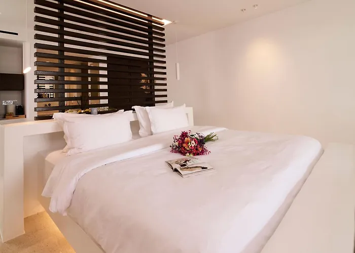 酒店 Mykonos Rocks & Plintri